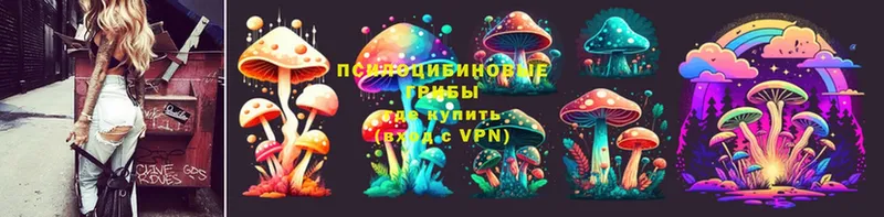 Галлюциногенные грибы Psilocybe  Лакинск 